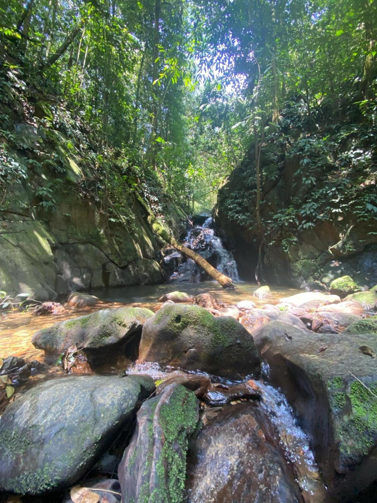 Eco Trekking Lodge, Bar & Jungle Tour'S Bukit Lawang Bagian luar foto