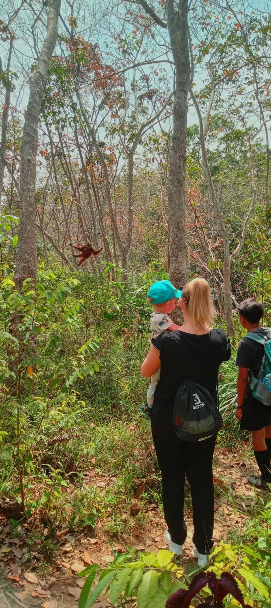 Eco Trekking Lodge, Bar & Jungle Tour'S Bukit Lawang Bagian luar foto