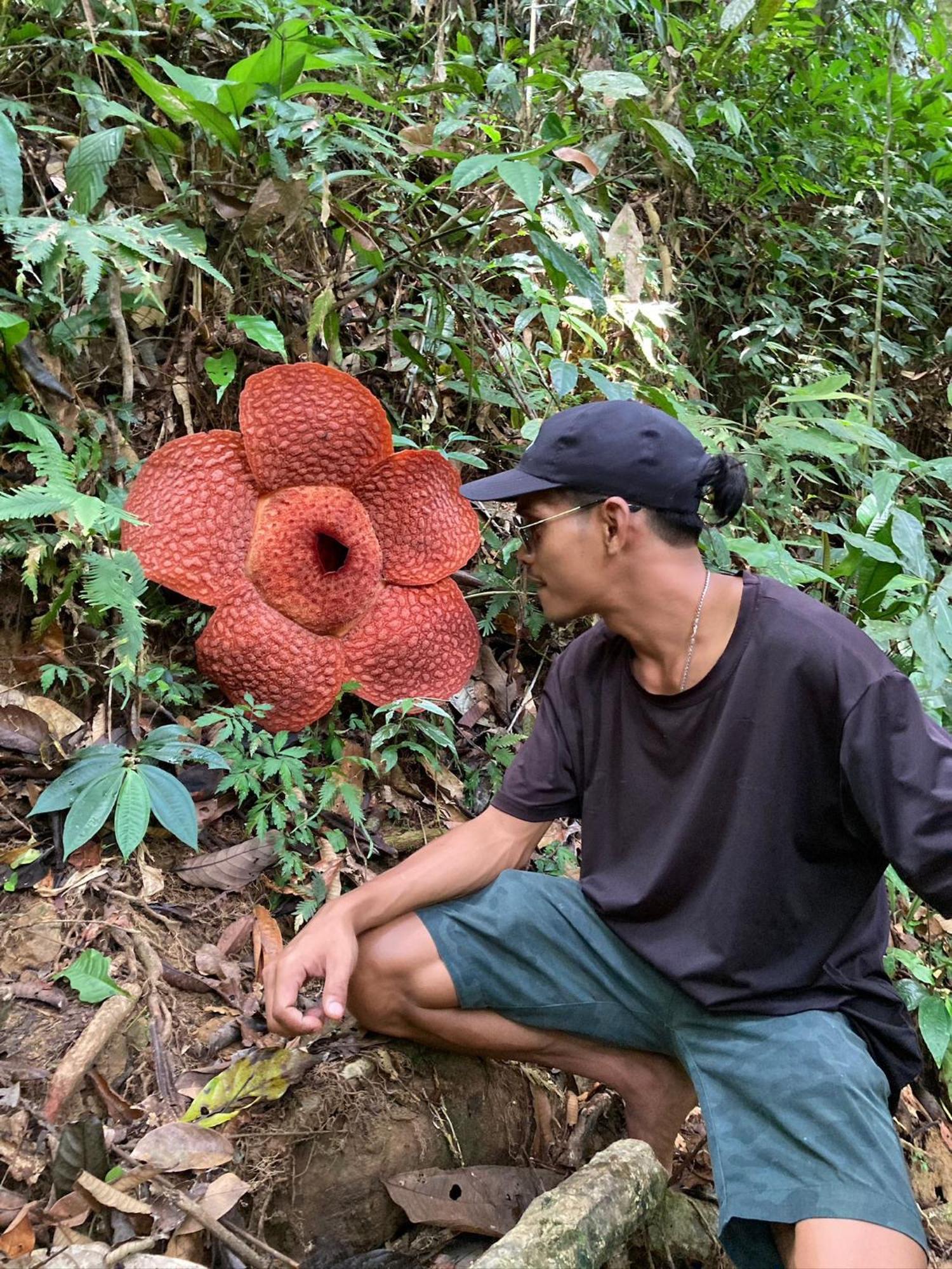 Eco Trekking Lodge, Bar & Jungle Tour'S Bukit Lawang Bagian luar foto