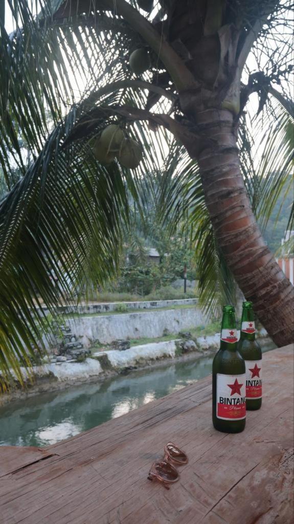 Eco Trekking Lodge, Bar & Jungle Tour'S Bukit Lawang Bagian luar foto