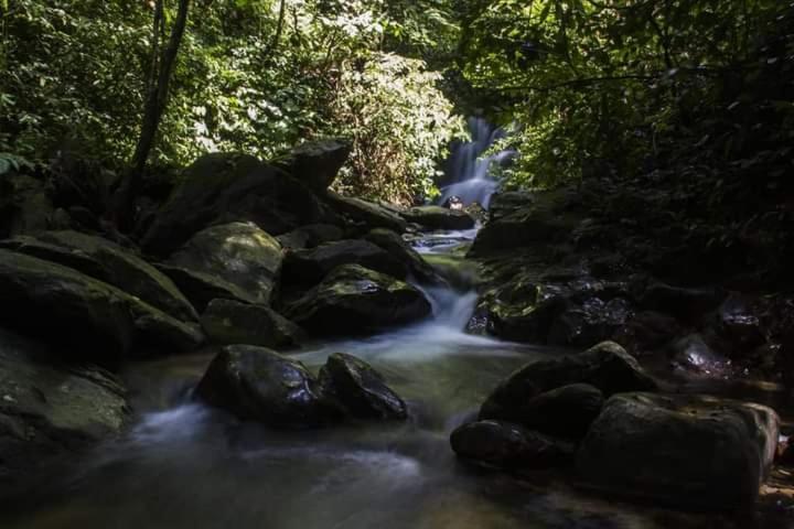 Eco Trekking Lodge, Bar & Jungle Tour'S Bukit Lawang Bagian luar foto