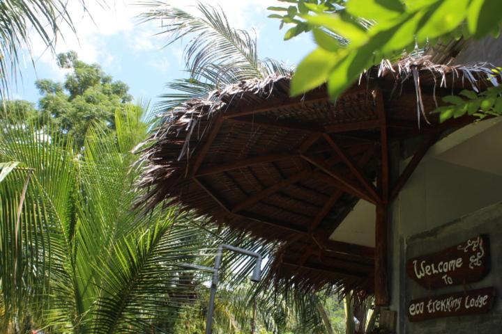 Eco Trekking Lodge, Bar & Jungle Tour'S Bukit Lawang Bagian luar foto