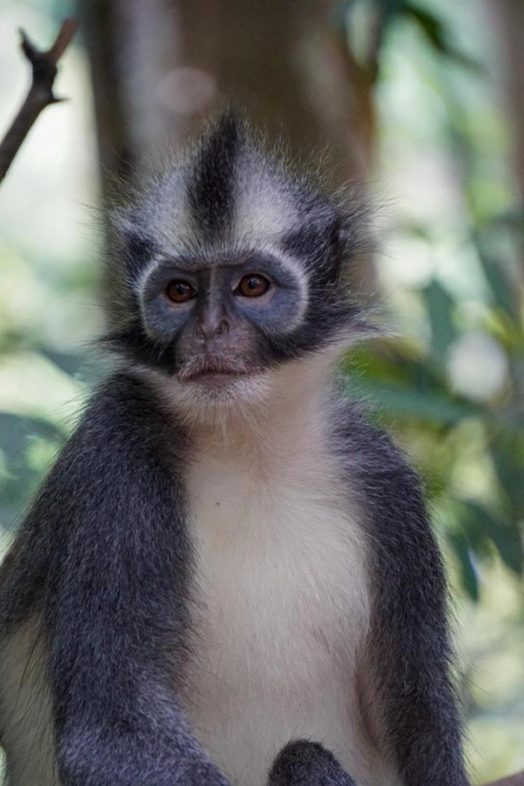 Eco Trekking Lodge, Bar & Jungle Tour'S Bukit Lawang Bagian luar foto